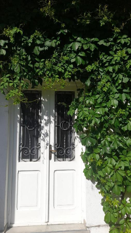 Apartman Marcela Zadar Bagian luar foto